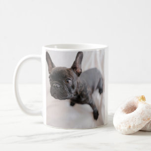 Caneca De Café Crie Sua Própria Foto de Animal de Estimação 