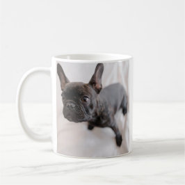 Caneca De Café Crie Sua Própria Foto de Animal de Estimação