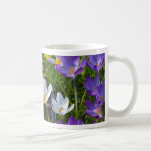 Caneca De Café Crocos frescos de cores diferentes