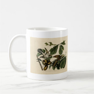 Caneca De Café Cuco de bico amarelo - Aves da América de Audubon