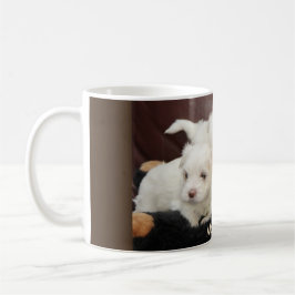 Caneca De Café Cuppies Malteses, Fotografia em Copas