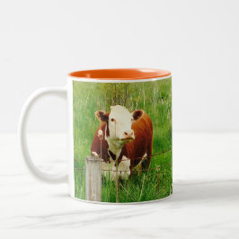 Caneca De Café Curiosa Vaca Castanha Verde Castanho 4Mal