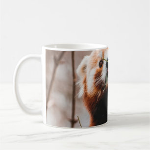 CANECA DE CAFÉ CUTE KOALA BEAR