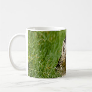 Caneca De Café Cute Yorkshire Terrier passando por Grass