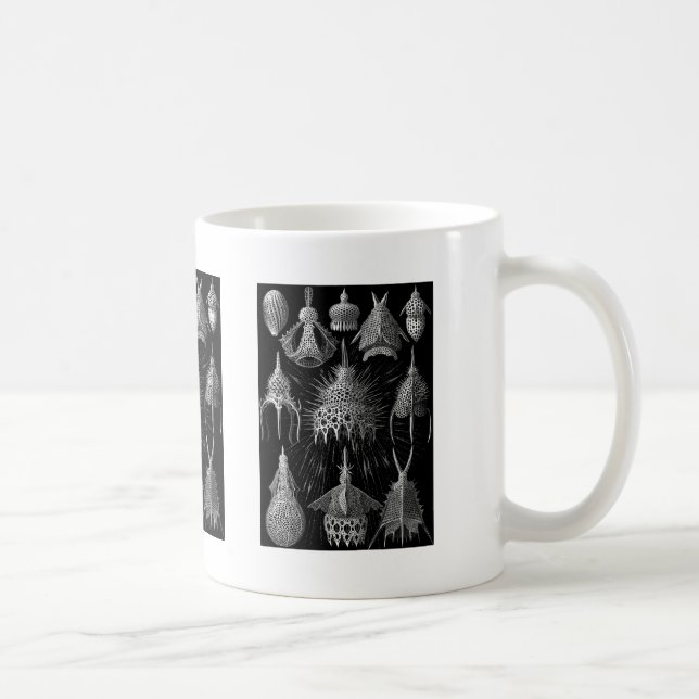 Caneca De Café Cyrtoidea (Direita)