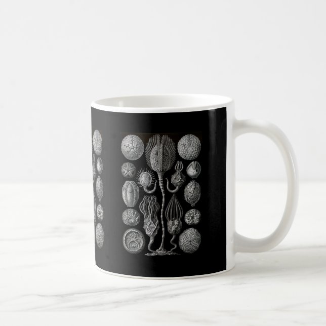Caneca De Café Cystoids (Direita)