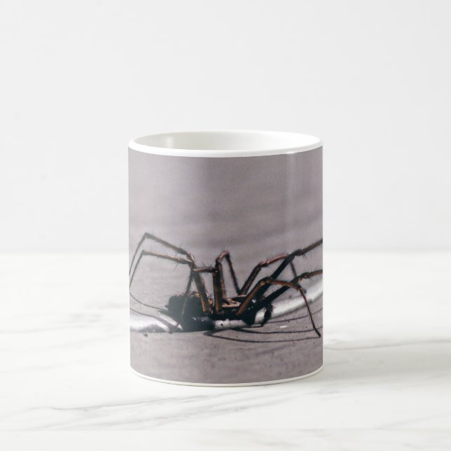 Caneca de café da aranha (Centro)