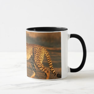CANECA DE CAFÉ DA CHITA