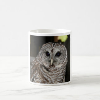Caneca de café da coruja barrada