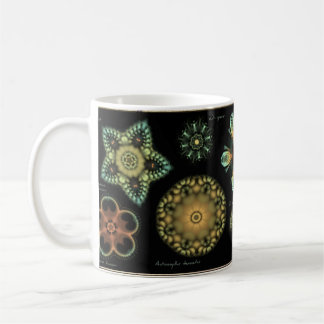 Caneca de café da diatomácea da "antiguidade"