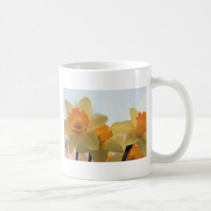 Caneca De Café Daffodills