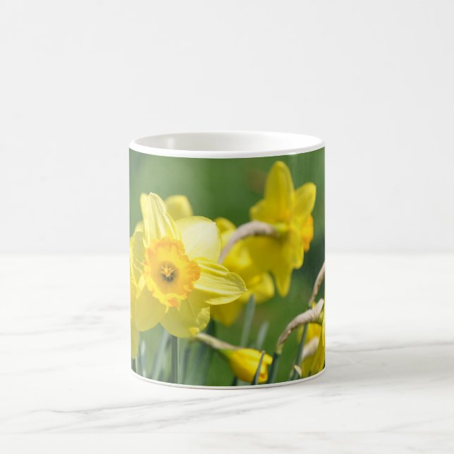 Caneca De Café Daffodils (Centro)