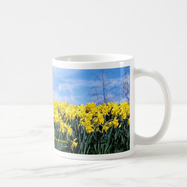 Caneca De Café Daffodils do primavera, Shrewsbury, Shropshire, (Direita)