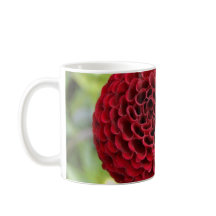 Dália