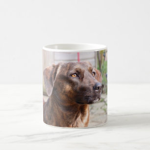 Caneca de café de Brin do cão de Nowzad Rscue