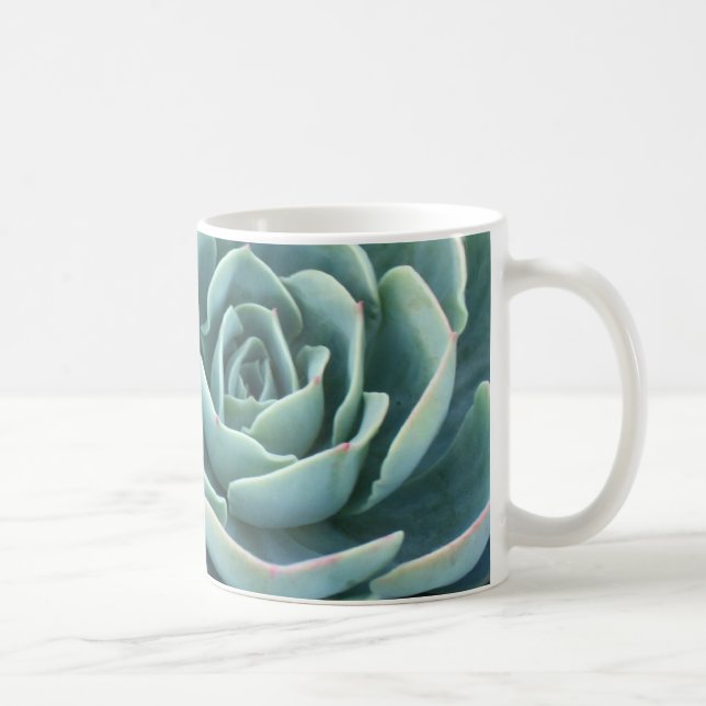 Caneca de café de Echeveria (Direita)