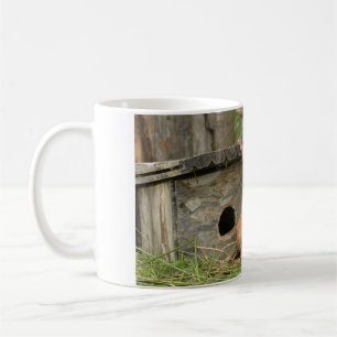 Caneca de café de esquilo