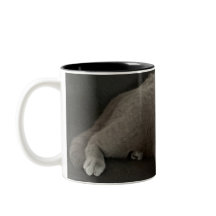 caneca de café de gato-do-escocês