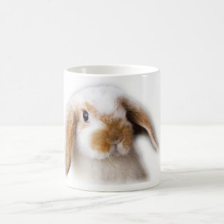 Caneca de café de Holland Lop