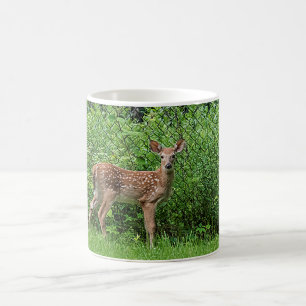 Caneca De Café Descoberto em frente a uma cerca