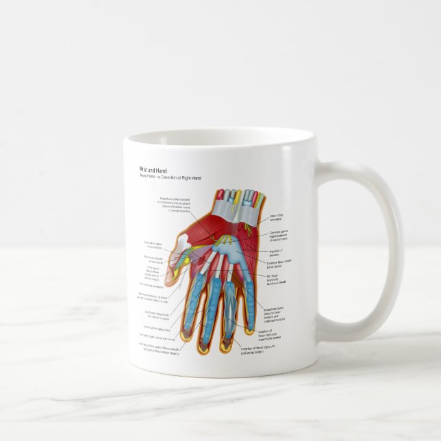 Caneca De Café Diagrama anatômico da mão e do pulso humanos (Direita)