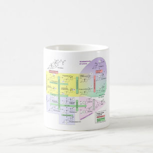 Caneca De Café Diagrama de Esteroidogênese Humana Química Biológi