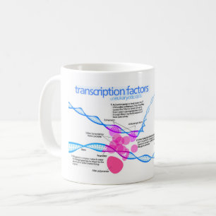 Caneca De Café Diagrama de Fatores de Transcrição de Genes Celula