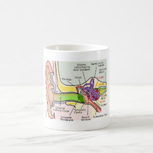 Caneca De Café Diagrama de Mapeamento da Frequência do Ouvido Hum