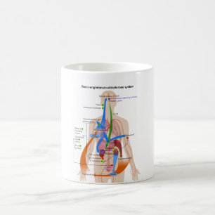 Caneca De Café Diagrama de sistema do Angiotensin (RAS) do Renin