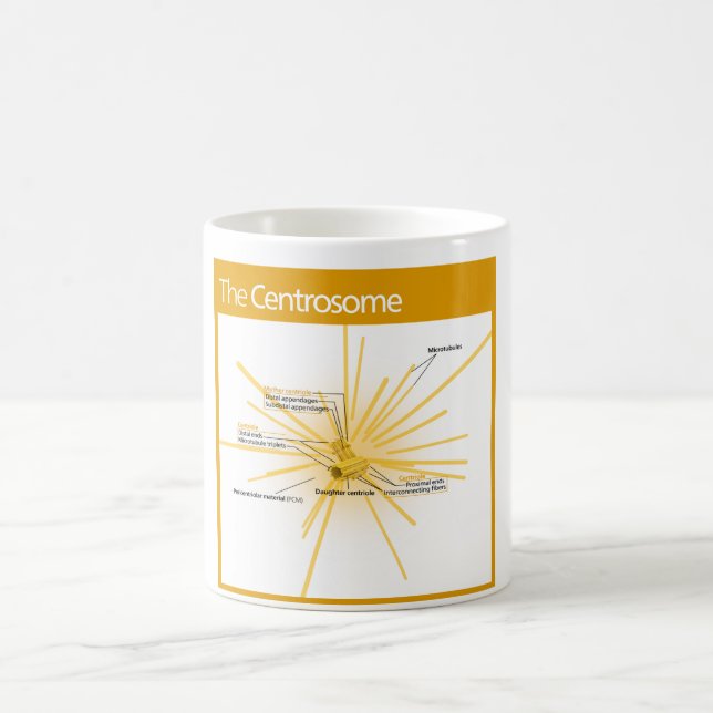 Caneca De Café Diagrama de um centrossome (Centro)