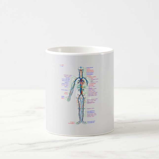 Caneca De Café Diagrama MUG Artérias do Sistema Circulatório Huma (Centro)
