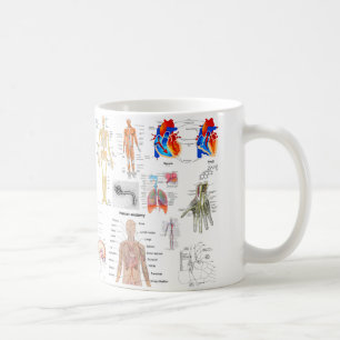 Caneca De Café Diagramas humanos da anatomia