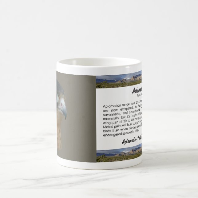 Caneca De Café Diplomado (Centro)