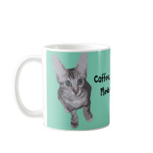 Do café gatinho bonito por favor