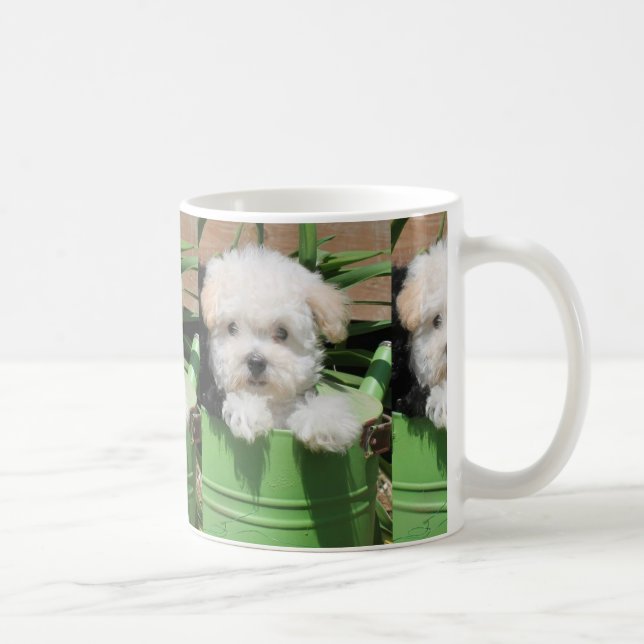 Caneca de café do filhote de cachorro de Maltipoo (Direita)