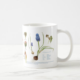Caneca De Café Do nosso jardim perene.