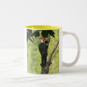 Caneca de café do pica-pau de Pileated