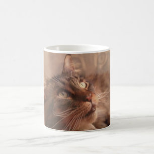 Caneca de café do racum de Maine