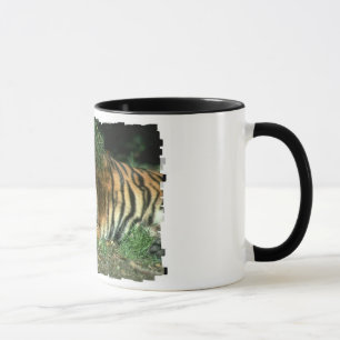 Caneca de café do tigre de Bengal