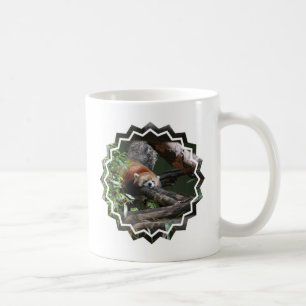 Caneca de café do urso de panda do sono