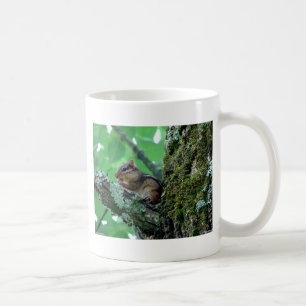 Caneca De Café Doce Esquilo em uma Roupa e Presentes de Árvore