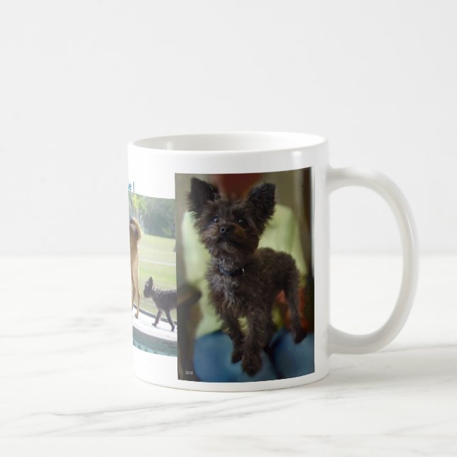 Caneca De Café Dogs Rule Mug (Direita)