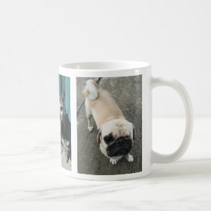 Caneca De Café Dois Cães Soi e um Gato... Tailândia