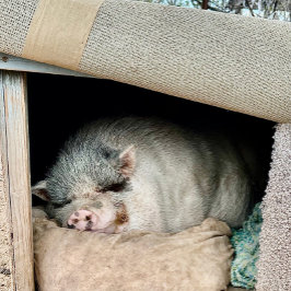 Caneca De Café Dois lados de um Urso Polar