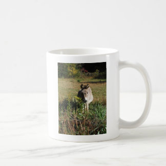 Caneca De Café Donkey Picting Yellow Autumn Wildflower