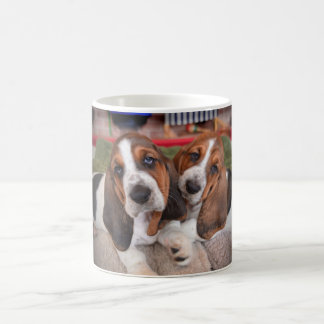 Caneca de café dos filhotes de cachorro de Basset