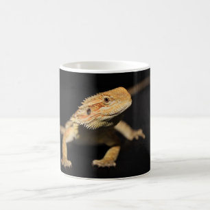 Caneca De Café Dragão farpado curioso