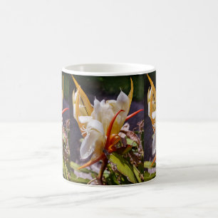 CANECA DE CAFÉ DRAGÃO POLINÉSIO CACTO FLOR NOTURNA