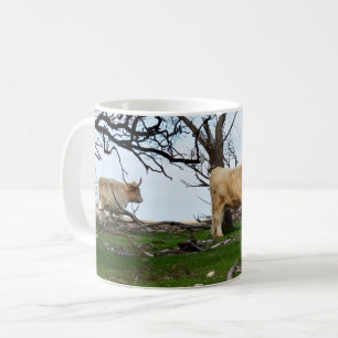 Caneca De Café Duas Vacas Terrestres Cultivadas em Terras Agrícol