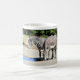 Caneca De Café Duas zebras Grevy perto de um lago